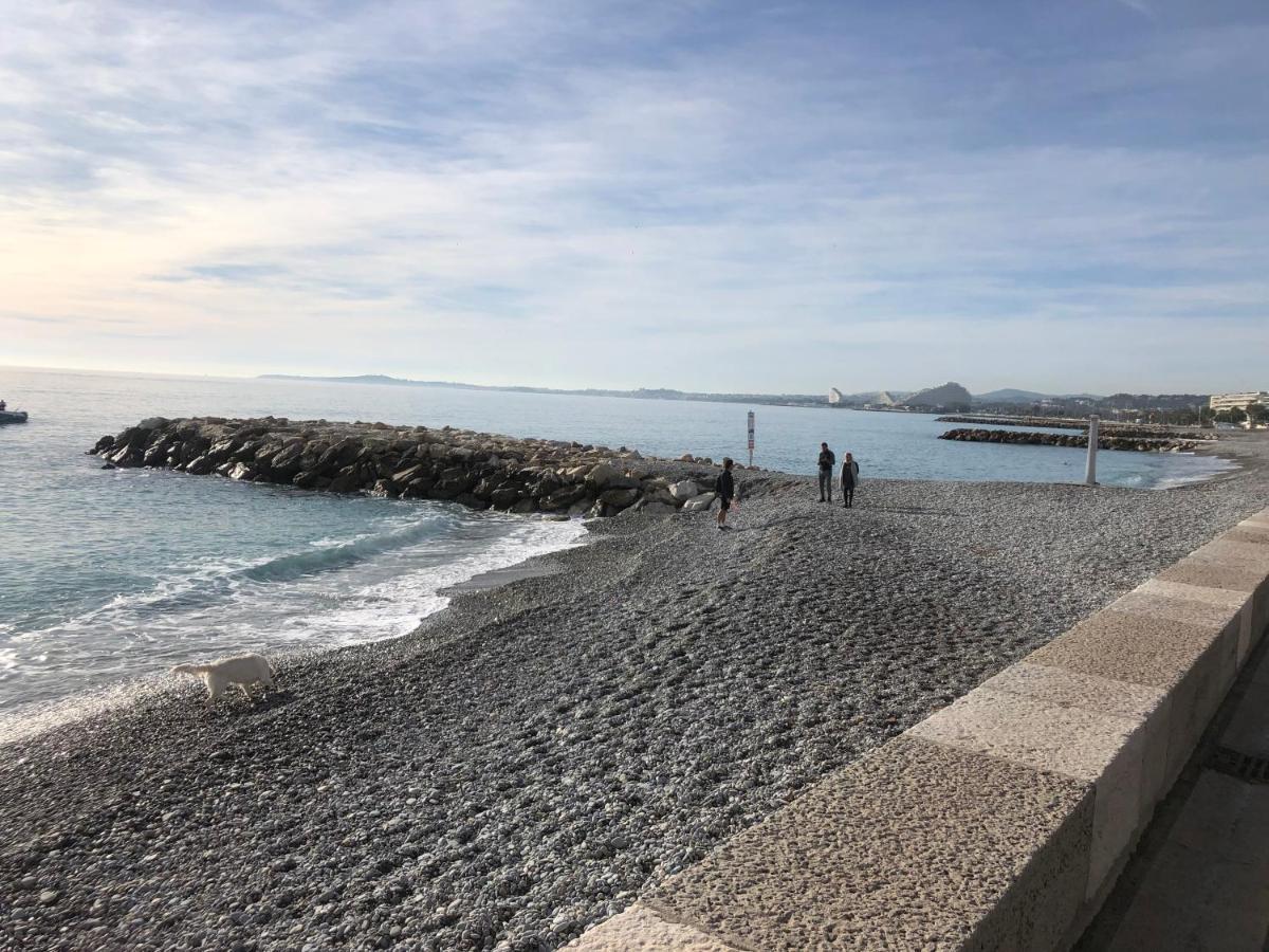 Front De Mer,Plage, Piscine, Parking Кань-сюр-Мер Экстерьер фото
